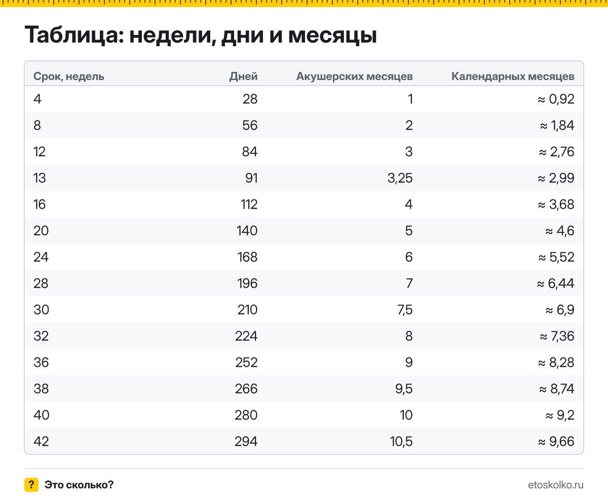 Как перевести недели беременности в месяцы