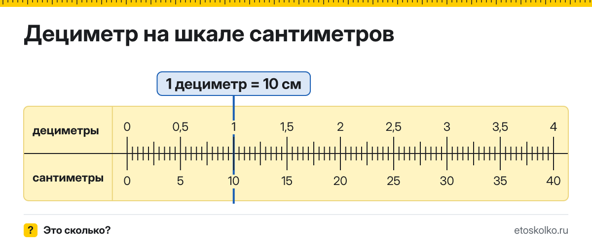 Сколько сантиметров в 1 дециметре? Точное соотношение, что это за единица и где её используют, таблица перевода и калькулятор.