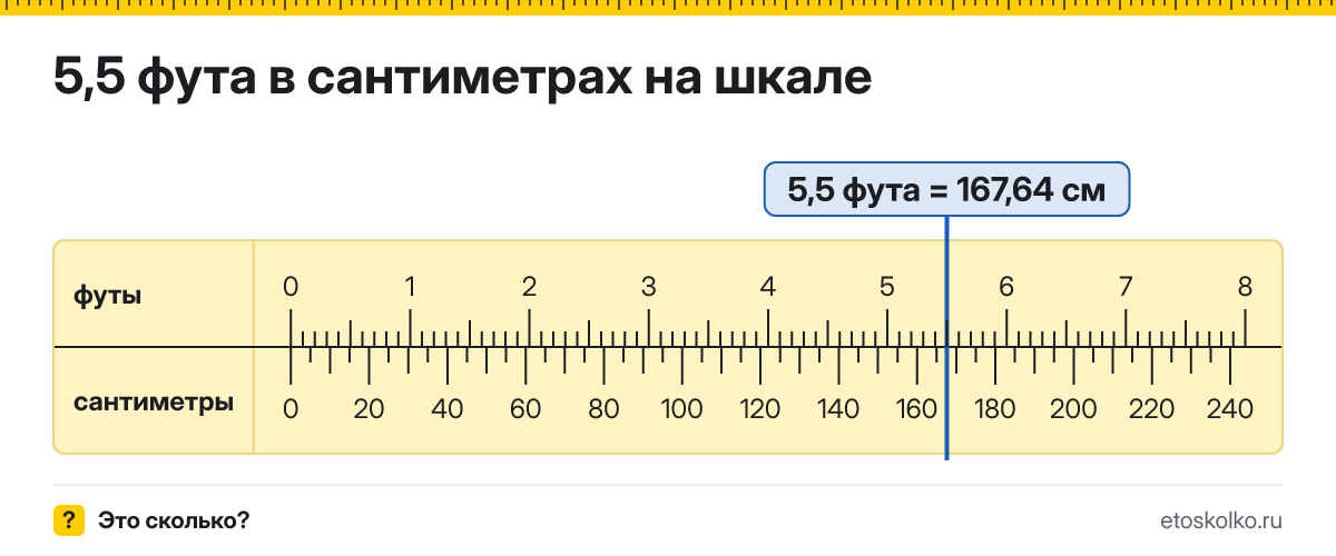 5,5 фута сколько это в см и как перевести в сантиметры
