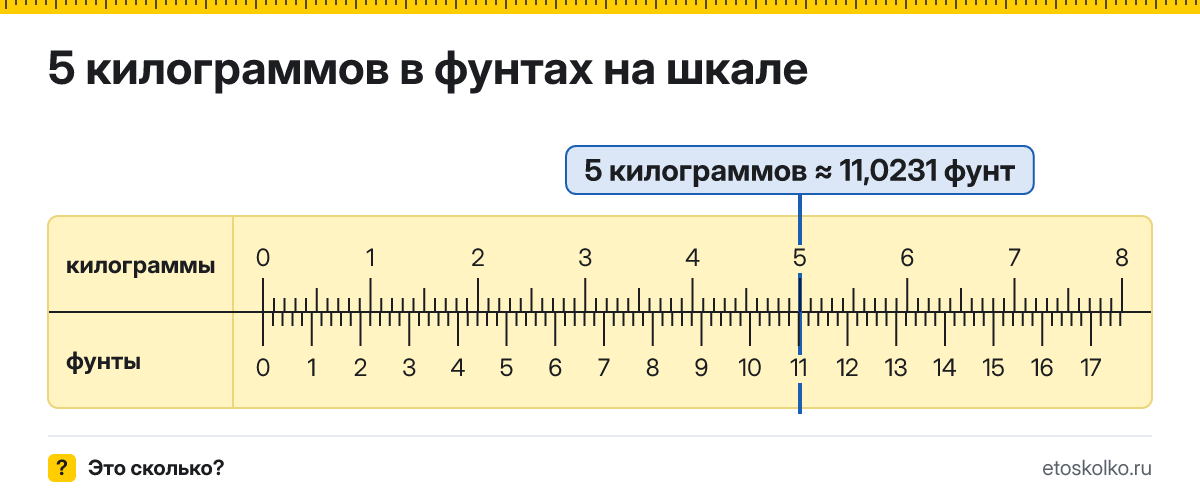 5 кг сколько это в фунтах и как перевести