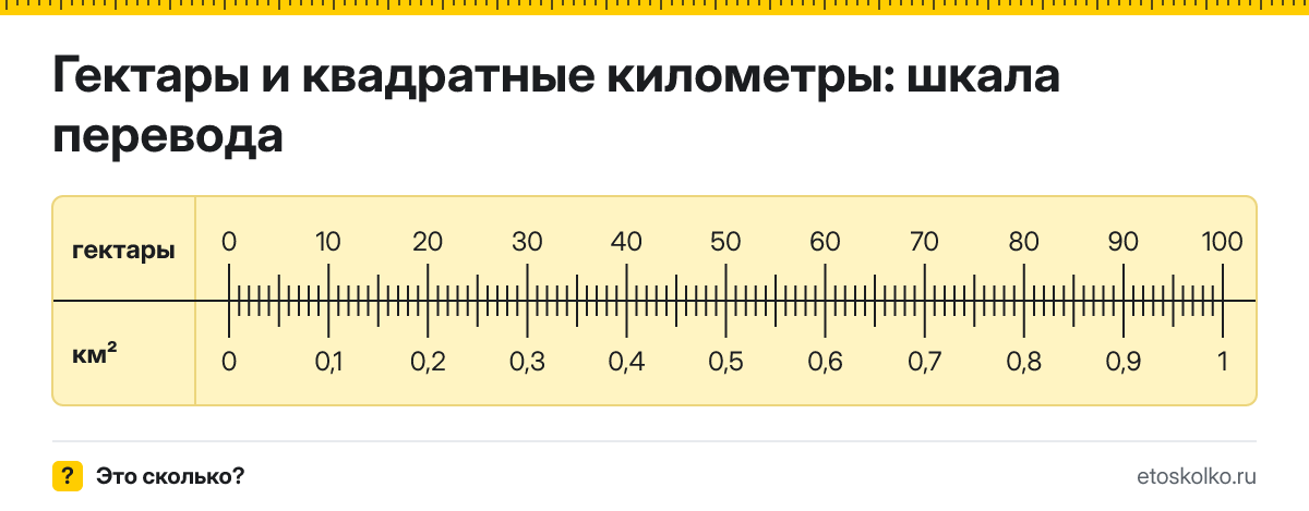 Гектары в квадратные километры как перевести