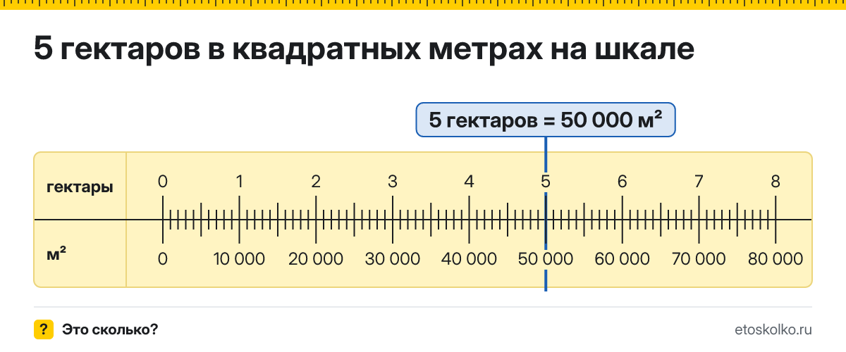 5 гектаров сколько это в квадратных метрах и как перевести
