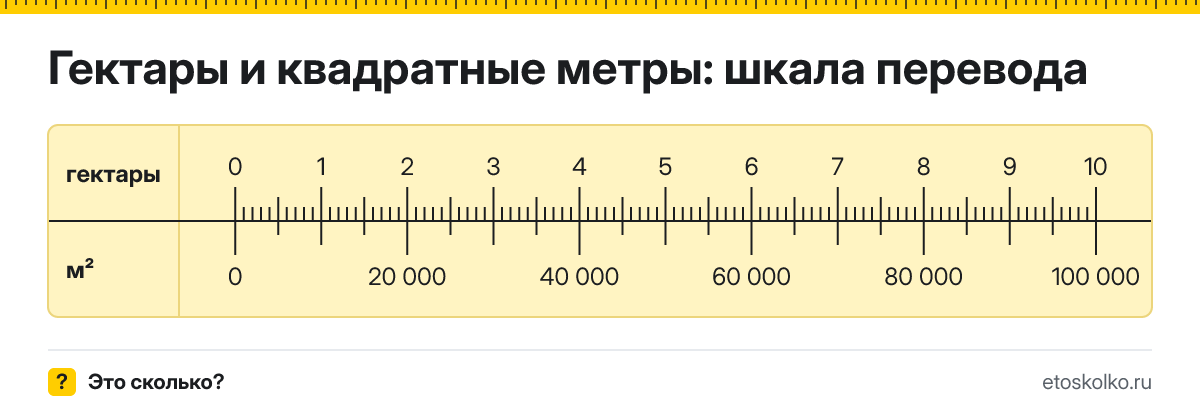 1 гектар сколько это в квадратных метрах и как перевести