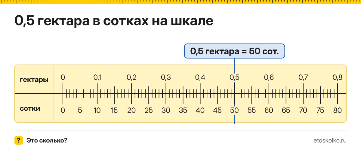 0,5 гектара сколько это в сотках и как перевести