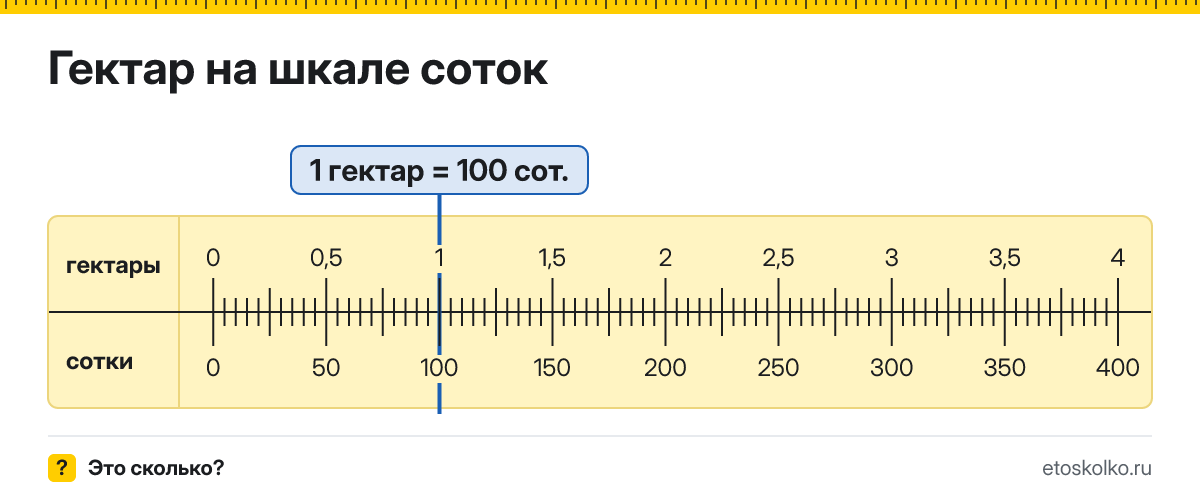 Сколько соток и квадратных метров в 1 гектаре? Точные соотношения, что это за единица и где её используют, таблица перевода и калькулятор.