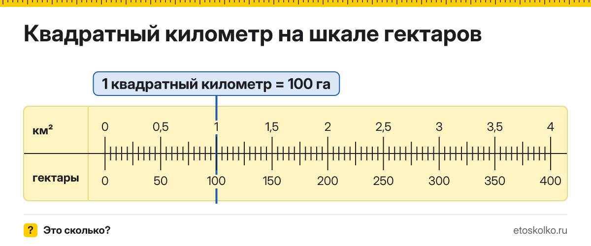 Сколько гектаров и квадратных метров в 1 квадратном километре? Точные соотношения, что это за единица и где её используют, таблица перевода и калькулятор.