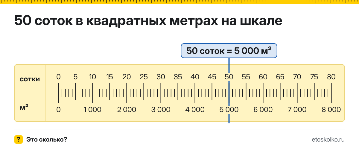 50 соток сколько это в квадратных метрах и как перевести