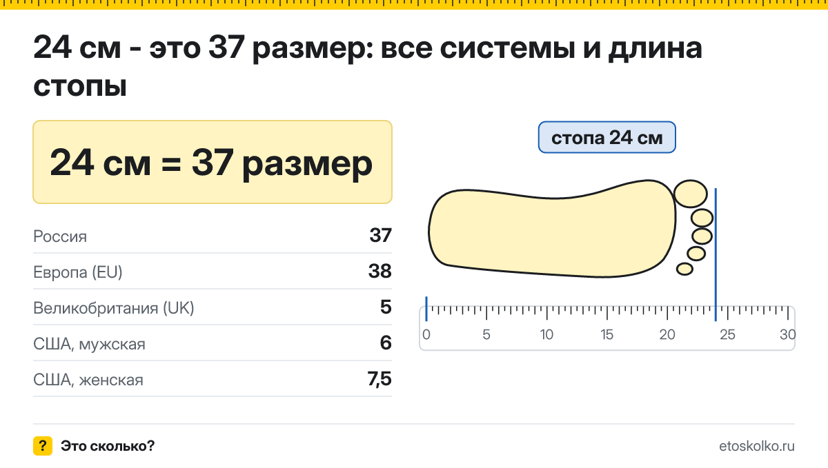 24 см стопа это какой размер обуви в России и Европе