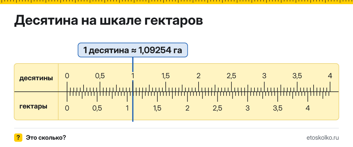 Сколько гектаров и соток в 1 десятине? Точные соотношения, что это за единица и где её используют, таблица перевода и калькулятор.