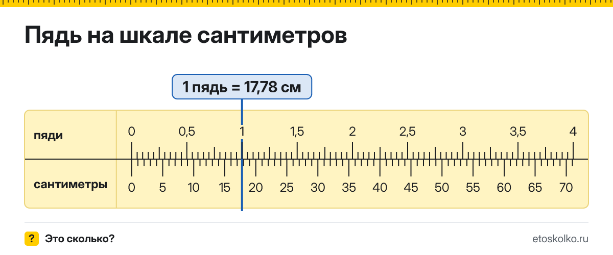 Сколько сантиметров в 1 пяди? Точное соотношение, что это за единица и где её используют, таблица перевода и калькулятор.