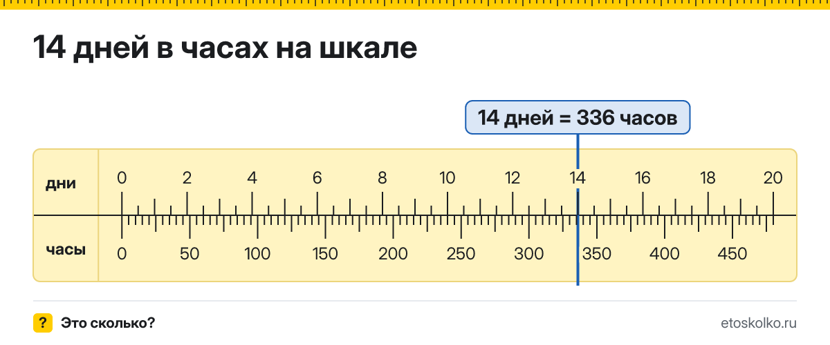 14 дней это сколько часов и как посчитать