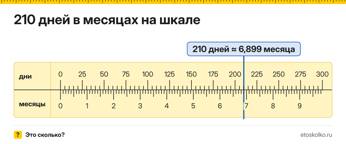 210 дней это сколько месяцев и как посчитать