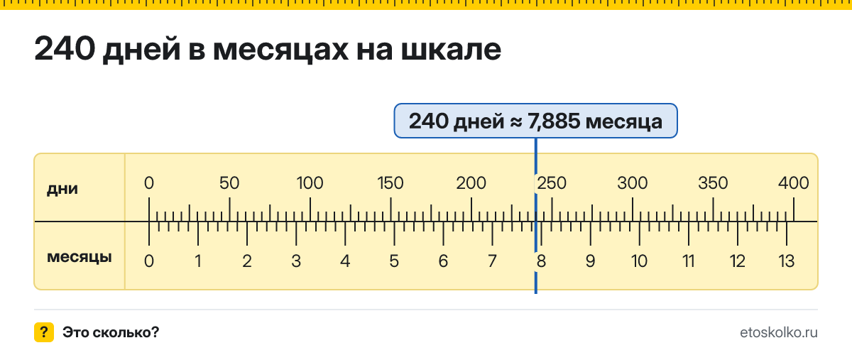 240 дней это сколько месяцев и как посчитать