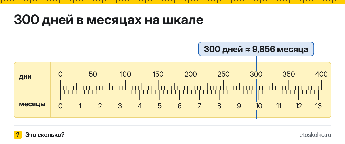 300 дней это сколько месяцев и как посчитать
