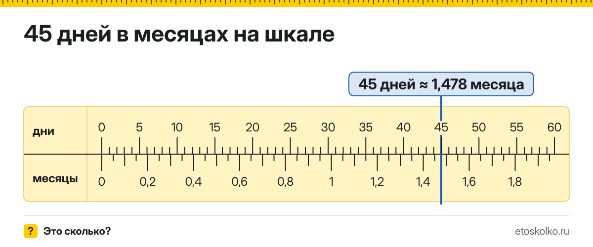 45 дней это сколько месяцев и как посчитать