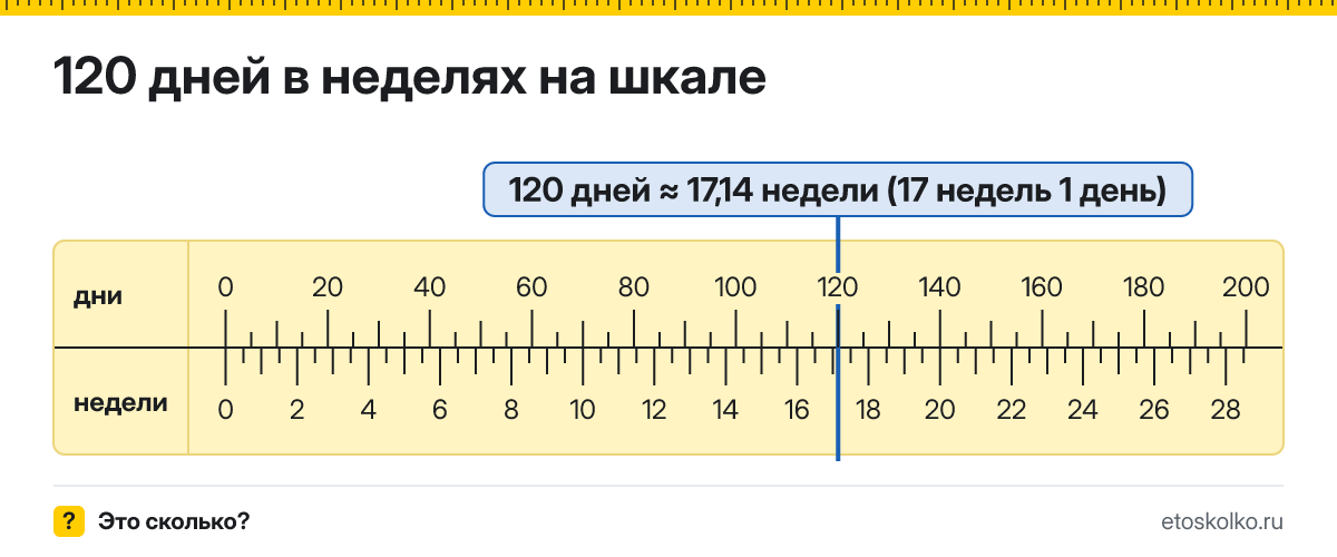 120 дней это сколько недель и дней, как посчитать