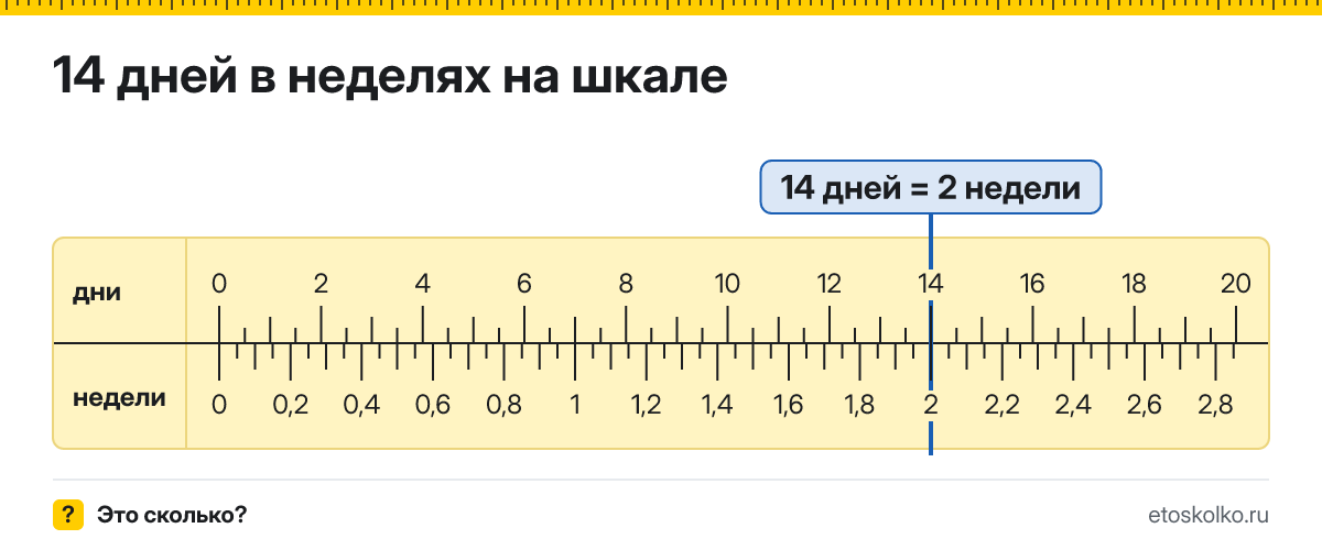 14 дней это сколько недель и как посчитать