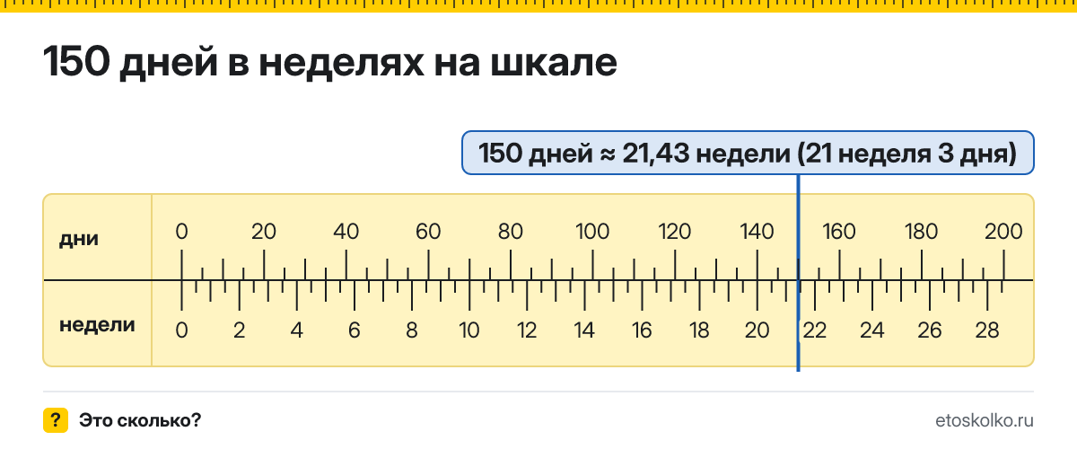 150 дней это сколько недель и дней, как посчитать