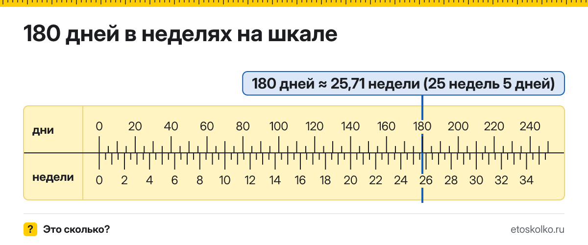 180 дней это сколько недель и дней, как посчитать