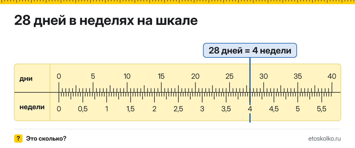28 дней это сколько недель и как посчитать