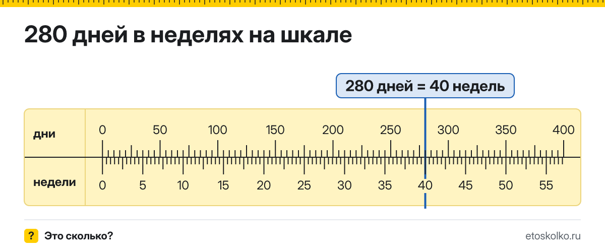 280 дней это сколько недель и как посчитать