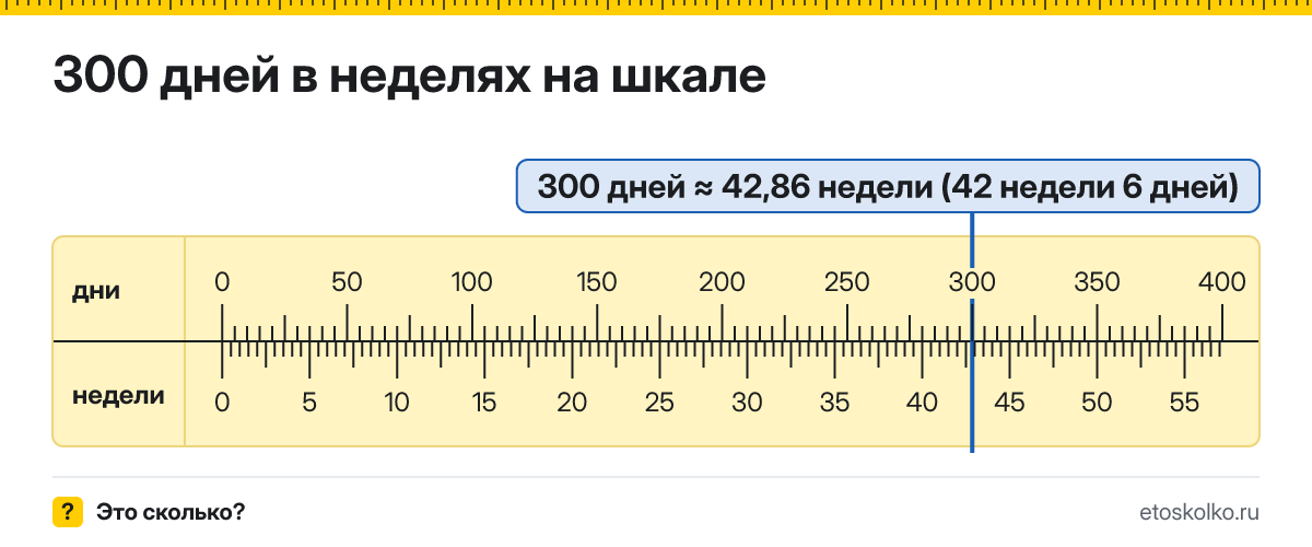 300 дней это сколько недель и дней, как посчитать