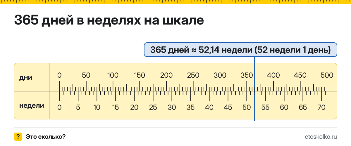 365 дней это сколько недель и дней, как посчитать
