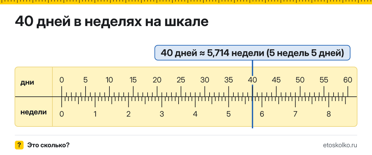 40 дней это сколько недель и дней, как посчитать