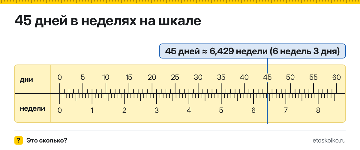 45 дней это сколько недель и дней, как посчитать