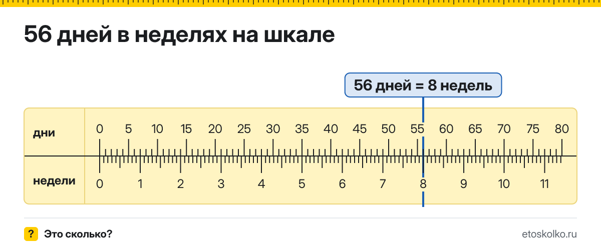 56 дней это сколько недель и как посчитать