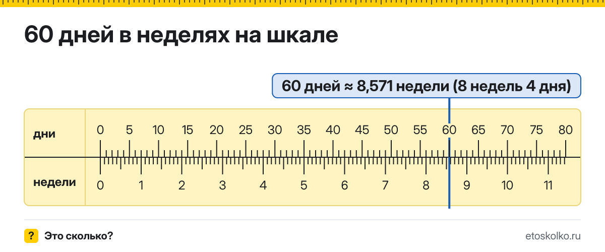 60 дней это сколько недель и дней, как посчитать