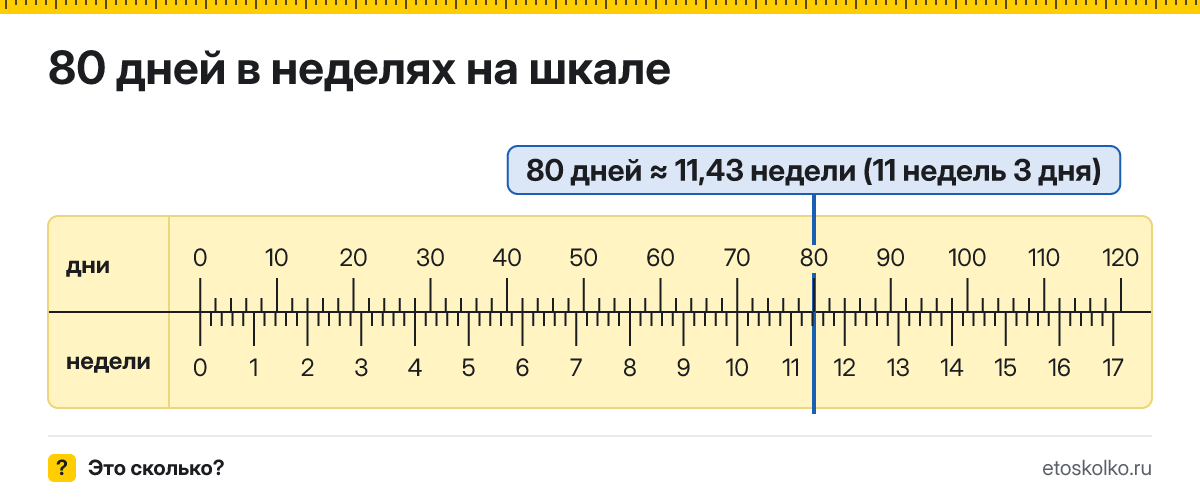 80 дней это сколько недель и дней, как посчитать