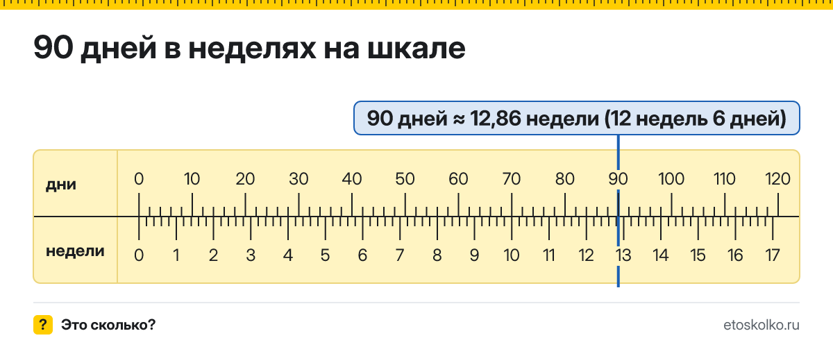 90 дней это сколько недель и дней, как посчитать