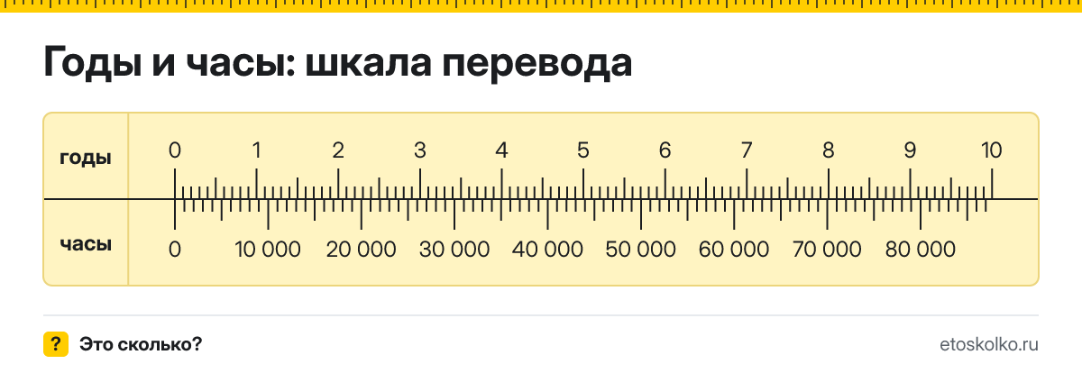 Год это сколько часов и как перевести годы в часы