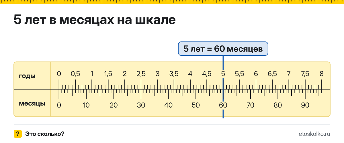 5 лет это сколько месяцев и как посчитать