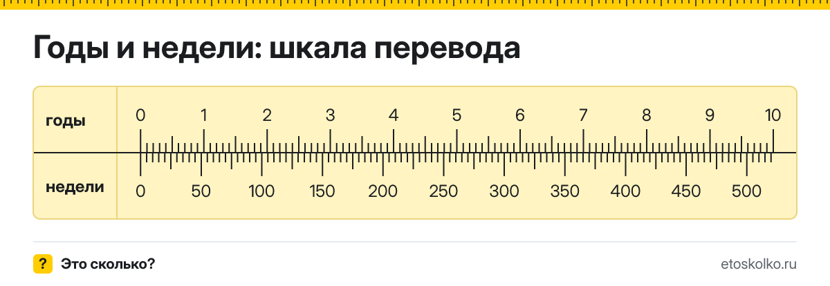 Год это сколько недель и как перевести годы в недели