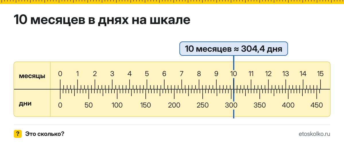10 месяцев это сколько дней по календарю и в среднем