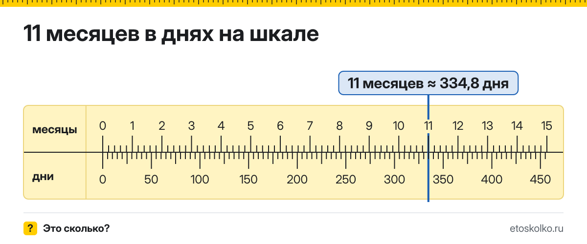 11 месяцев это сколько дней по календарю и в среднем