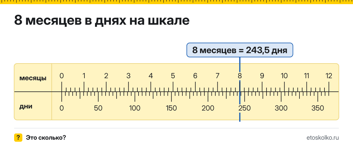 8 месяцев это сколько дней по календарю и в среднем