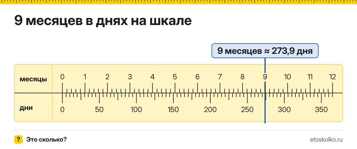 9 месяцев это сколько дней по календарю и в среднем