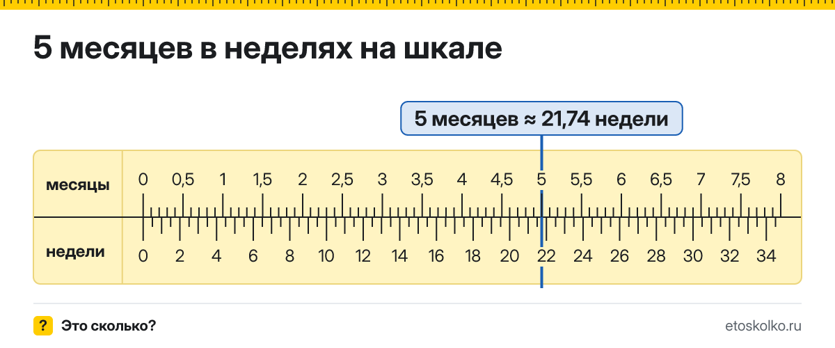 5 месяцев это сколько недель и как посчитать