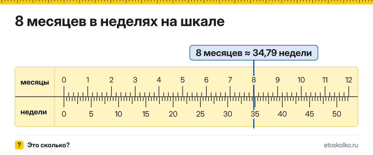 8 месяцев это сколько недель и как посчитать