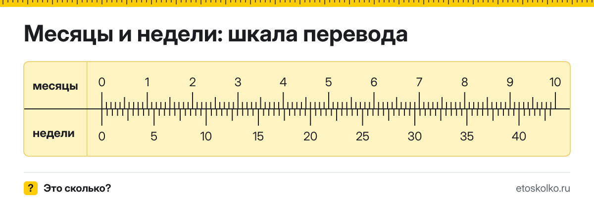 Месяц это сколько недель и как перевести месяцы в недели