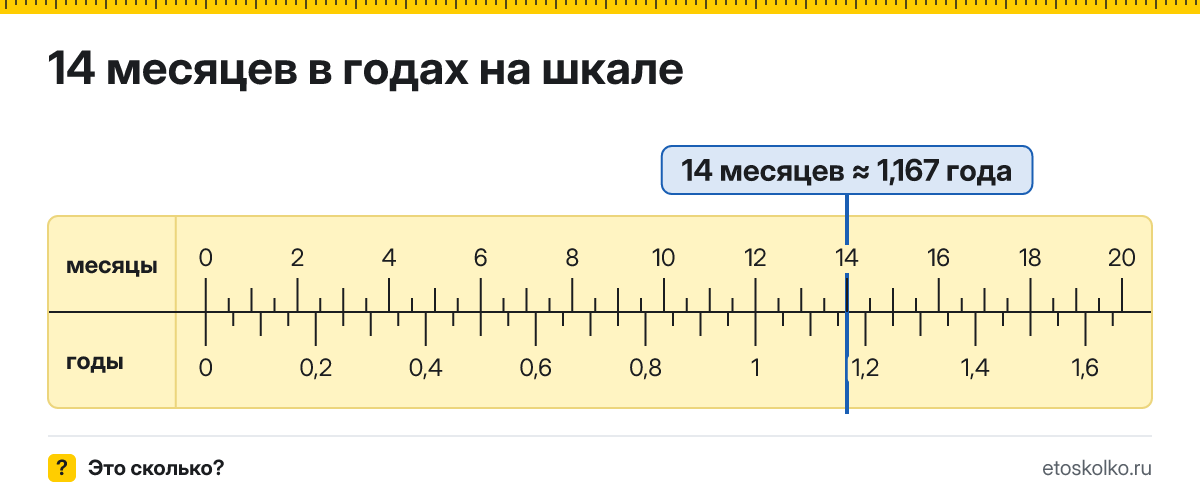 14 месяцев это сколько лет и как посчитать