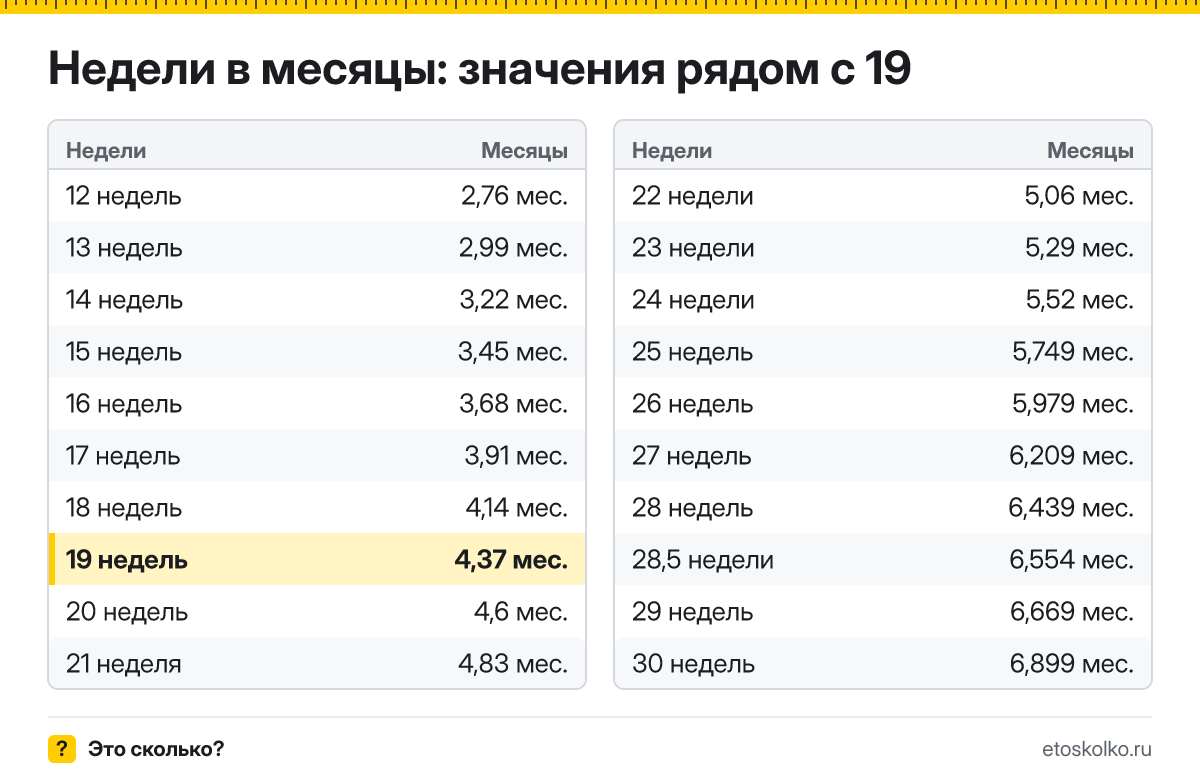 Сколько месяцев в 19 неделях беременности - акушерских и календарных, какой это триместр и как считают срок: точный расчёт и таблица соседних недель.