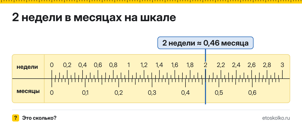 2 недели беременности это сколько месяцев и какой триместр