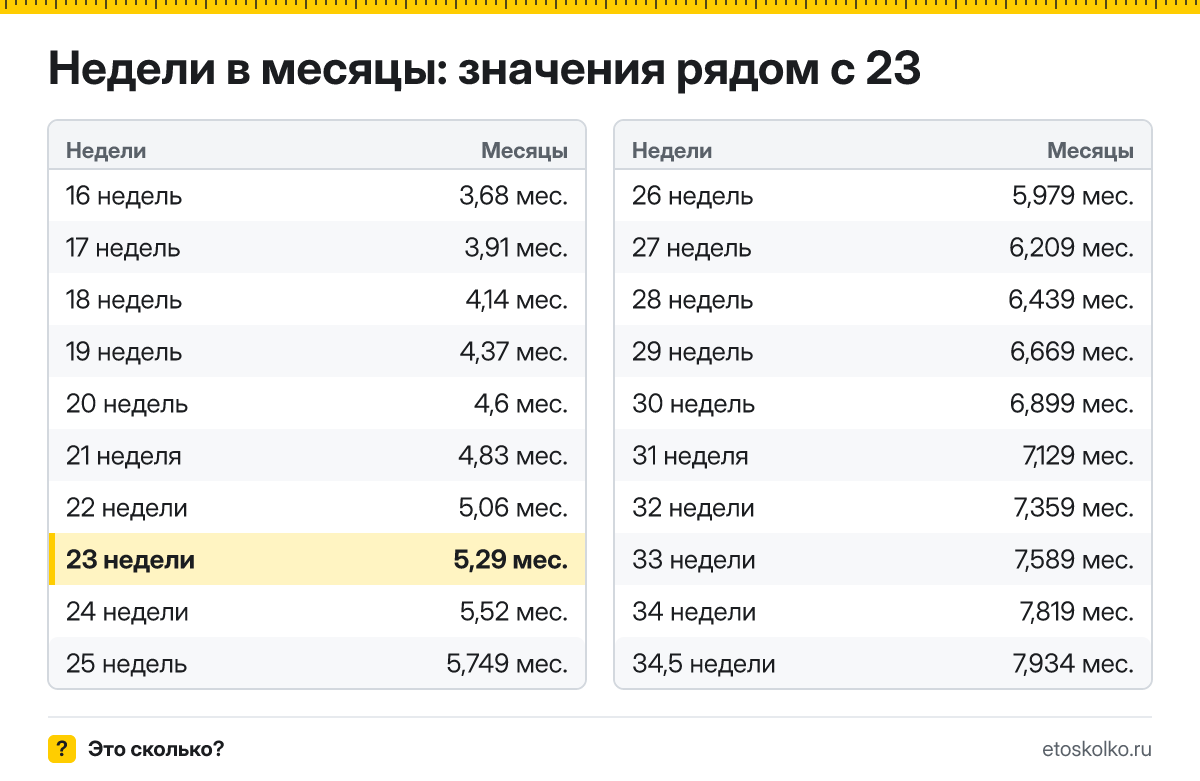 Сколько месяцев в 23 неделях беременности - акушерских и календарных, какой это триместр и как считают срок: точный расчёт и таблица соседних недель.