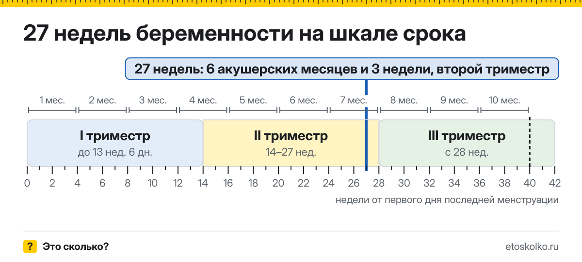 27 недель беременности это сколько месяцев и какой триместр