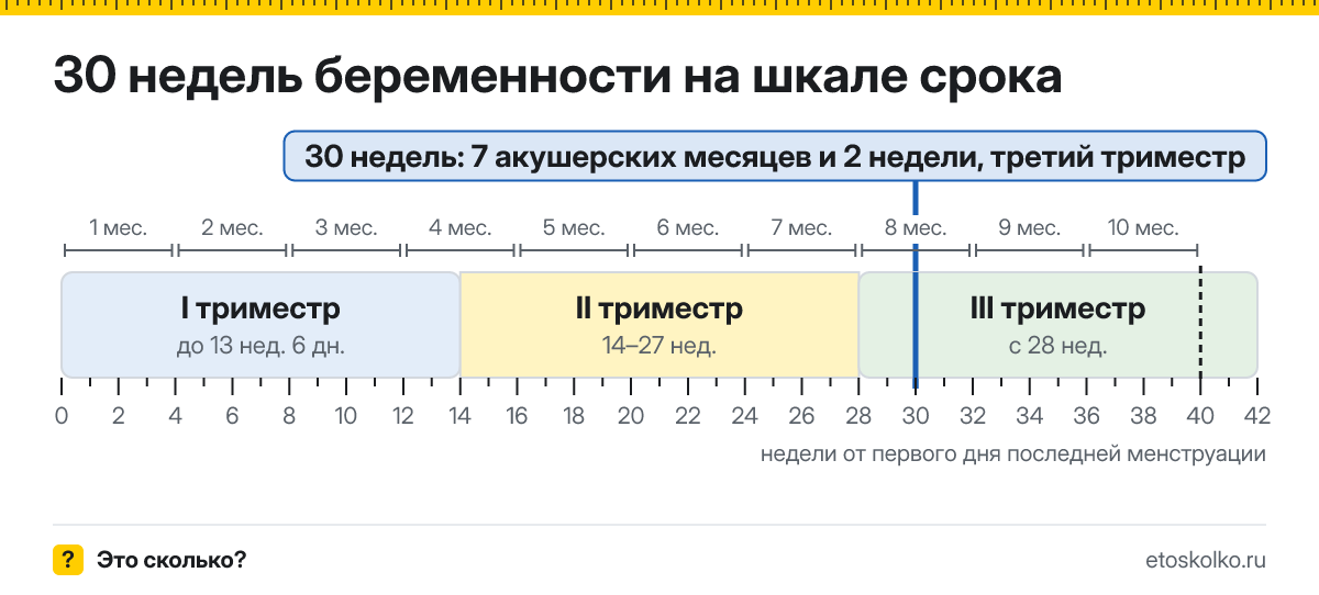 30 недель беременности это сколько месяцев и какой триместр