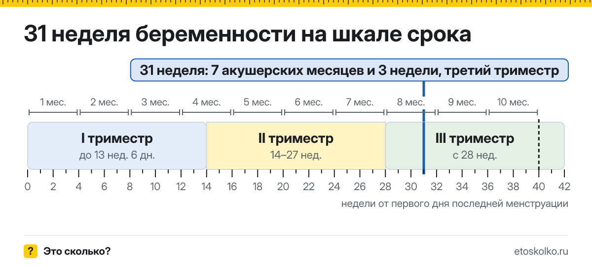 31 неделя беременности это сколько месяцев и какой триместр